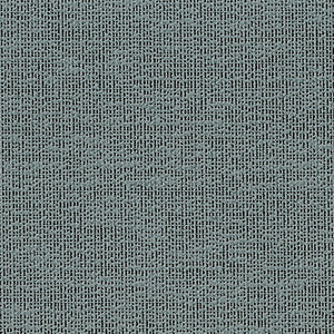 Eclipse - Moonbeam / silver