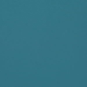 Affinity - Teal Blue / blue