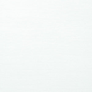 Andante - Snow / white