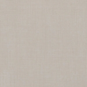 Dynamics - Biscuit / beige