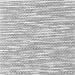 Endless -Rain / gray