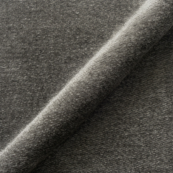 INTROSPECT