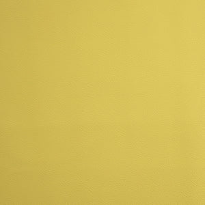 Rapport - Dandelion / yellow