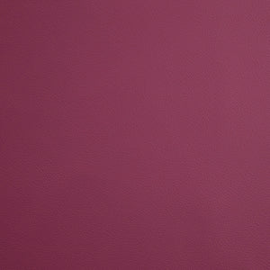 Rapport - Raspberry / red