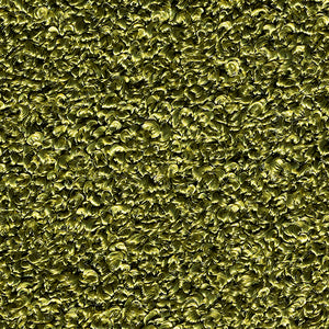 Sylvan - Olive / green