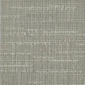 Timeline - Stone Age / gray