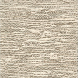 Transient - Cafe Latte / beige