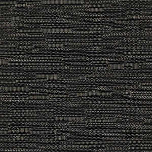 Transient - Forest / black