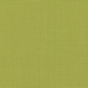 Tranquil - Kiwi / green