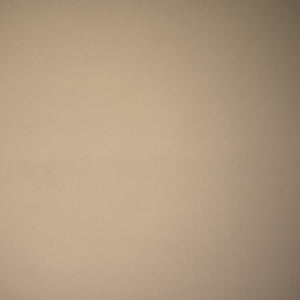 8491-031 / beige