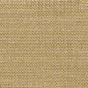 Absorber Glow - Cream Beige / beige