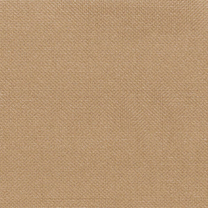 Absorber Glow - Light Brown / brown