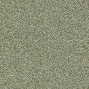 Biltmore - Sierra / gray