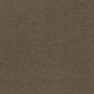 Woodland - Brown / brown