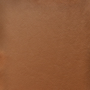 Cadence - Spice / Brown