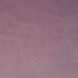 Cairo - Lilac / purple