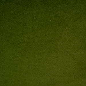 Cairo - Sprig / green