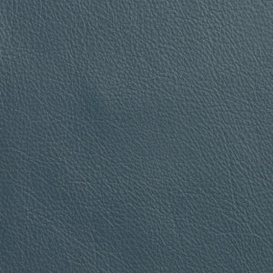 Caressa - Iris / Blue