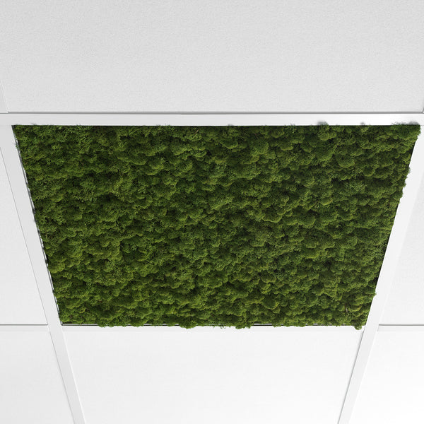 Nordgröna Acoustic Products