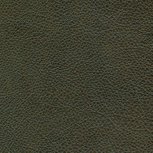 Charleston - Carbon / gray