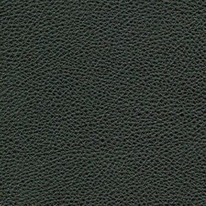 Charleston - Onyx / black