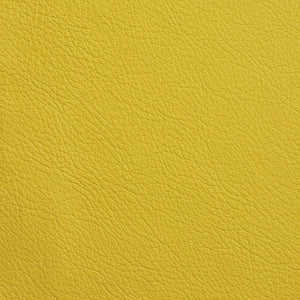 Chatham - Chartreuse / Yellow