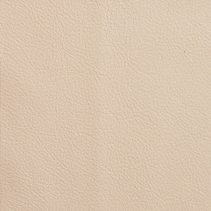 Chatham - Ivory / Beige