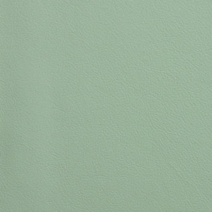 Chatham - Mint Mist / Green