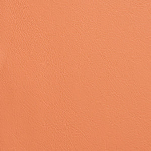 Chatham - Tangerine / Orange