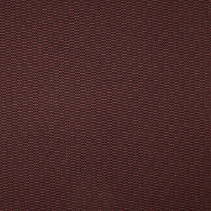 Cosmos - Quince / purple