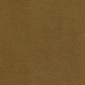 Fashion - Seal Rock / brown