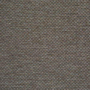 Foreword - Cinereous / brown