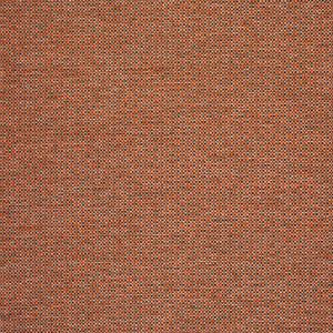 Foreword - Clay / orange