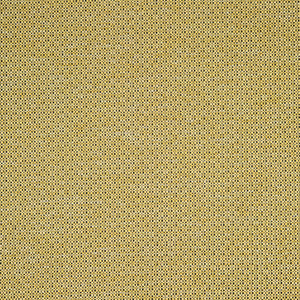 Foreword - Jonquil / yellow