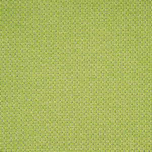 Foreword - Lily Pad / green