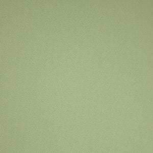 Ginostra - 82 / green