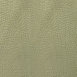 Kenya - Willow / Green