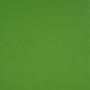 Notch - Parakeet / green