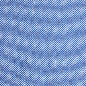 Pinturicchio - 90 / blue