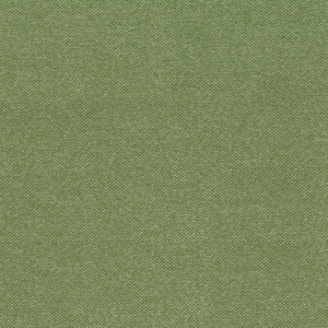 Woodland - Sage / green