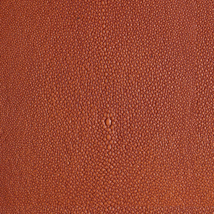 Shagarrett - Lava / Orange