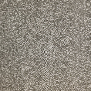 Shagarrett - Ray / Gray