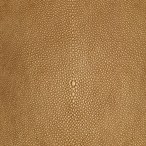 Shagarrett - Sandal / Beige