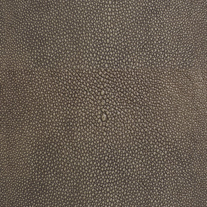 Shagarrett - Storm / Gray