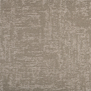 Artifact - Lichen / brown