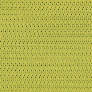 Serendipity - Fern / green