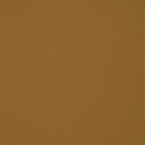Syntonic - Fawn / beige