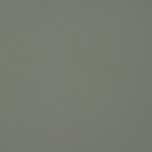 Syntonic - Mist / grey