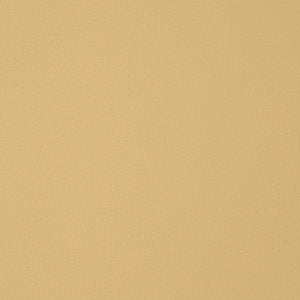 Syntonic - Vanilla / cream